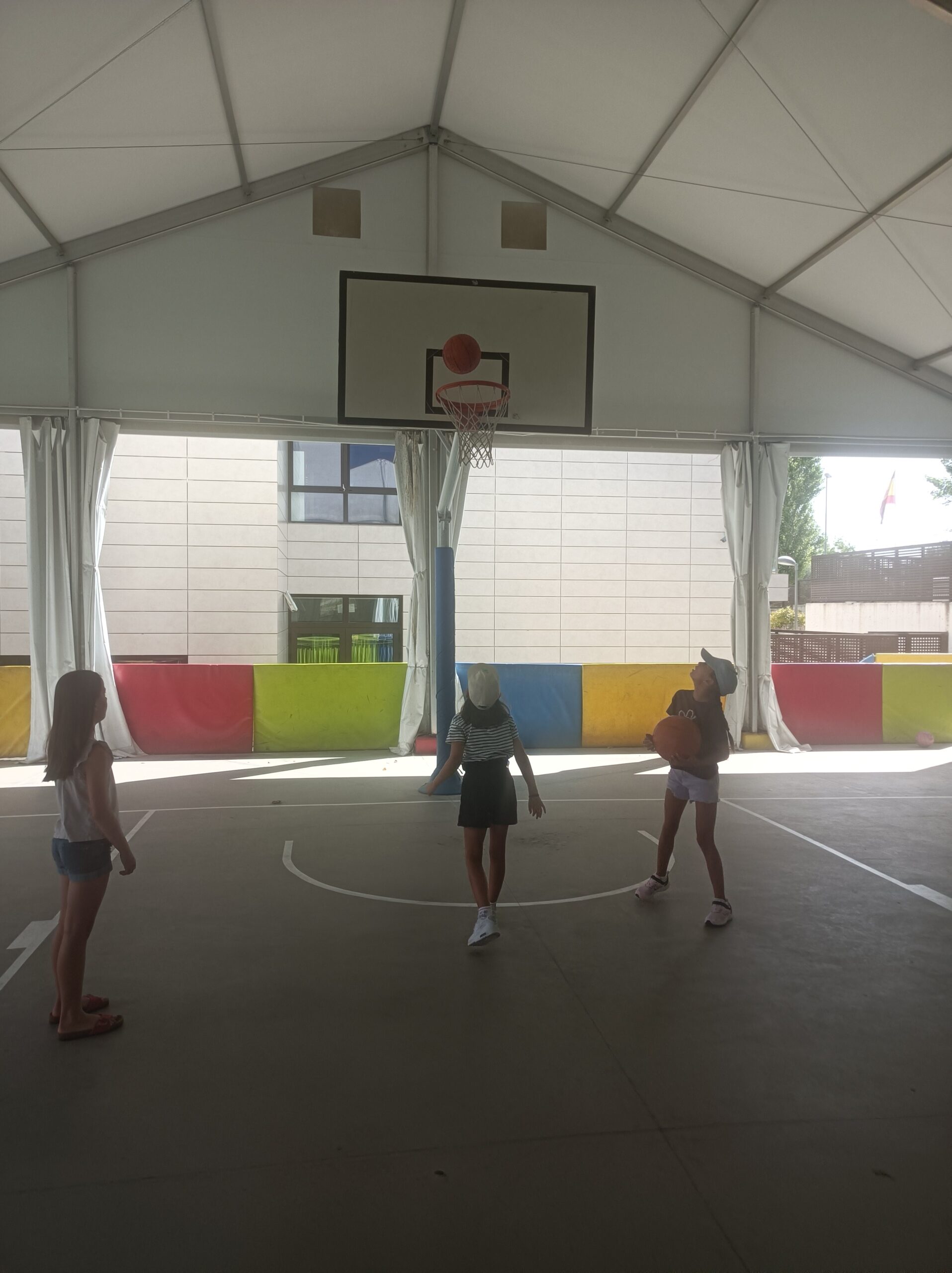 Summer camps for children Madrid